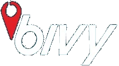 bivystick.com
