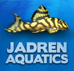 jadrenaquatics.com