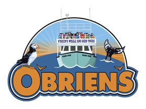 obriensboattours.com