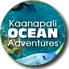 kaanapalioceanadventures.com