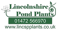 lincspplants.co.uk