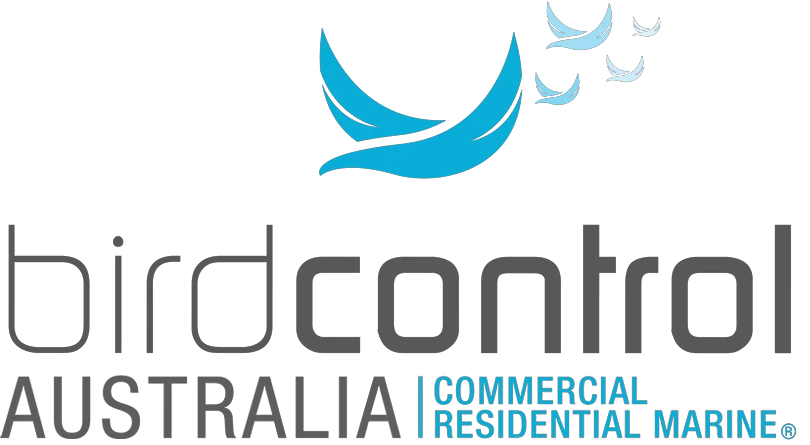 birdcontrolaustralia.com.au