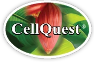 cellquest.com