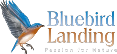 bluebirdlanding.com