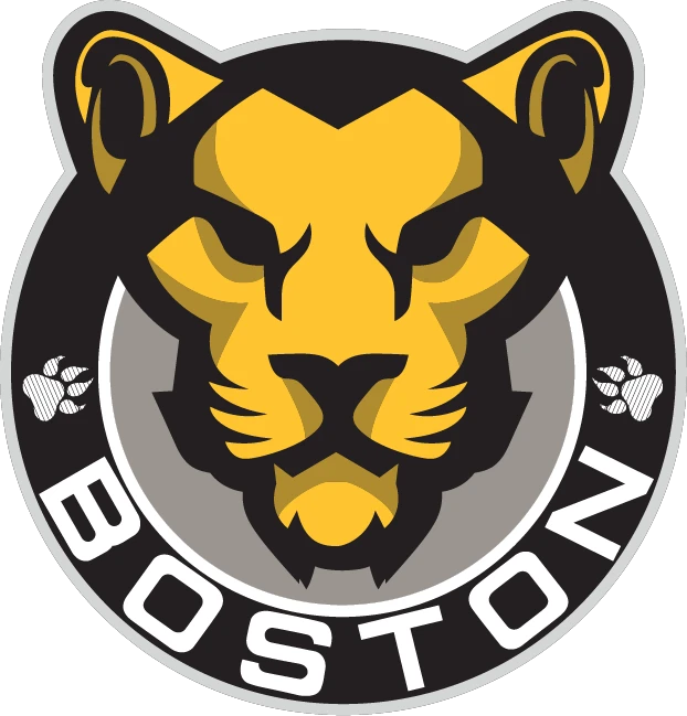 bostonpridehockey.com