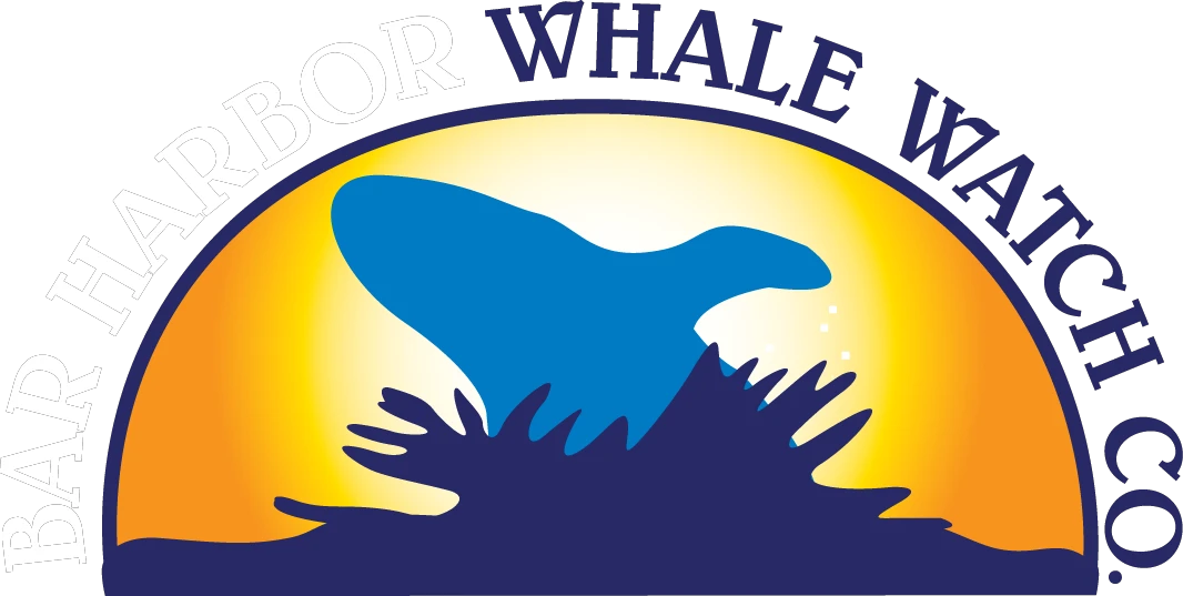 barharborwhales.com