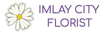 imlaycityflorist.com