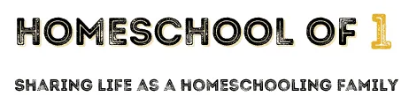 homeschoolof1.com