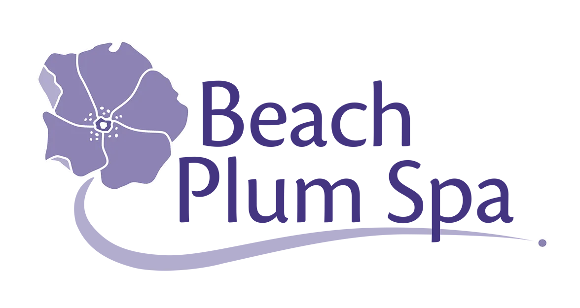 beachplumspa.com
