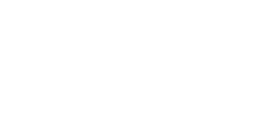 nycwff.org