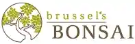 brusselsbonsai.com