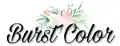 burstcolor.com