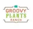 groovyplantsranch.com