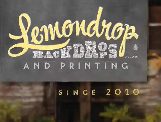 lemondropshop.com