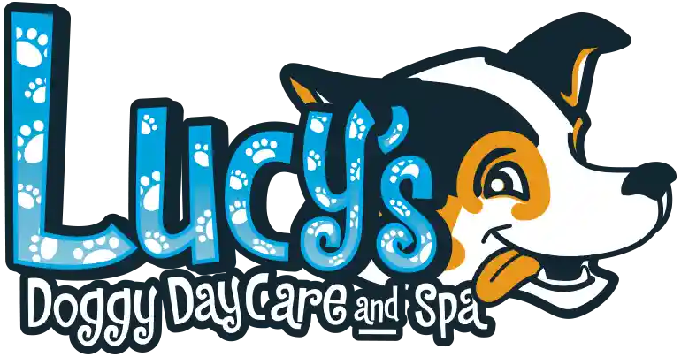 lucysdoggydaycare.com