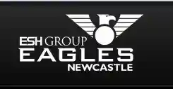 newcastle-eagles.com