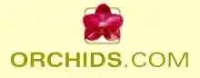 orchids.com