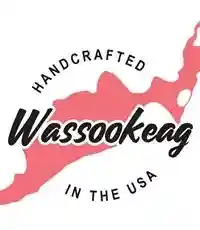 wassookeagmoccasins.com