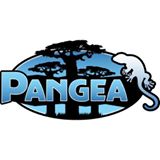 pangeareptile.com
